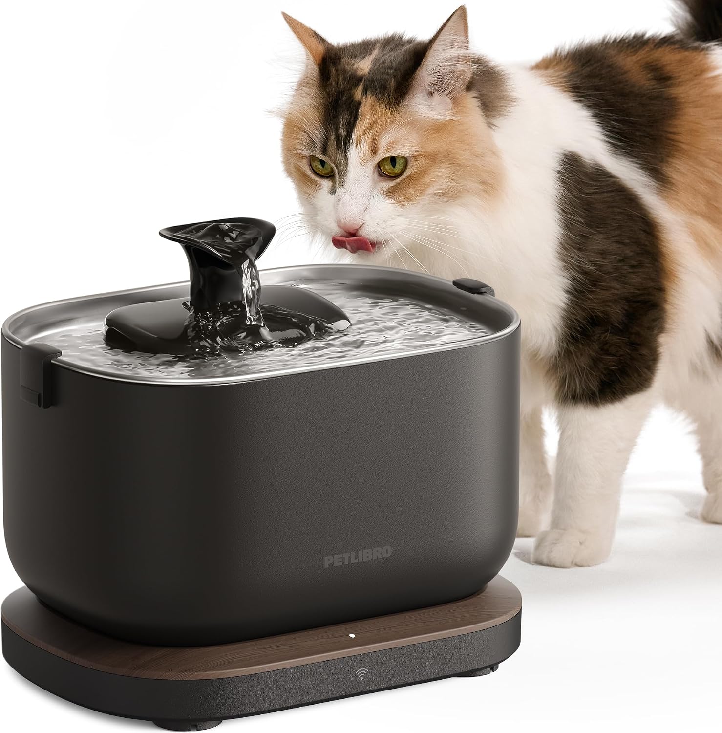PETLIBRO Pet Fountain review and comparison